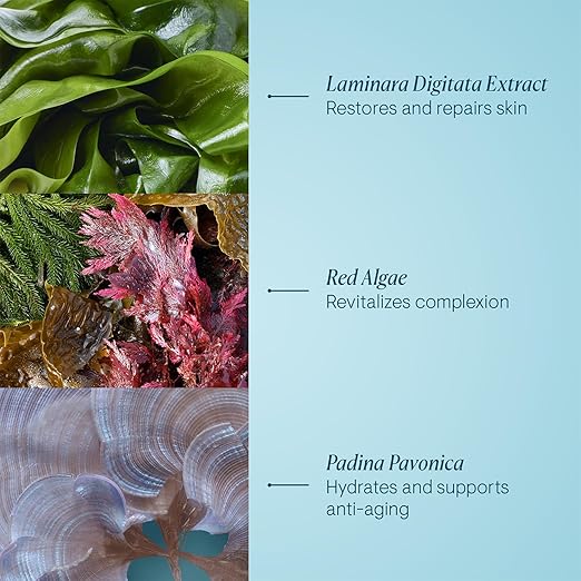 Pro-Collagen Night Cream